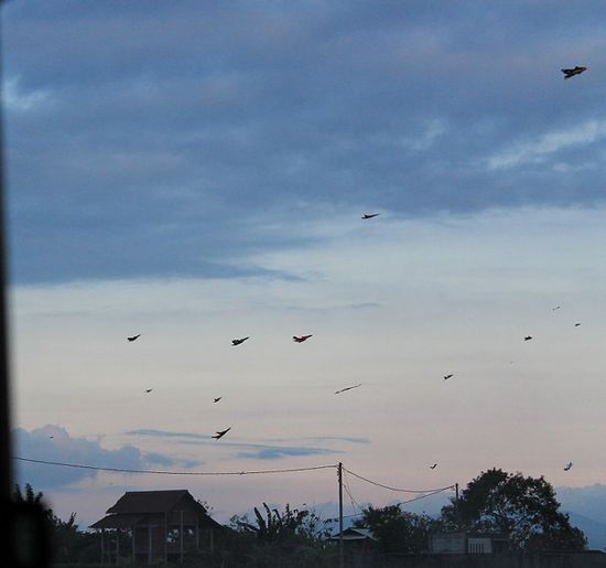 einen Drachen steigen lassen ist Brauchtum auf Bali