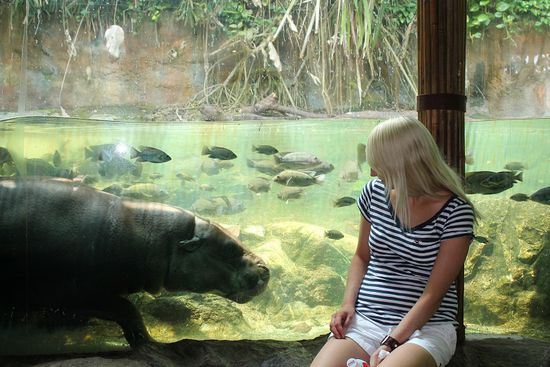 in diesem Bild gehts natürlich um die Fische...