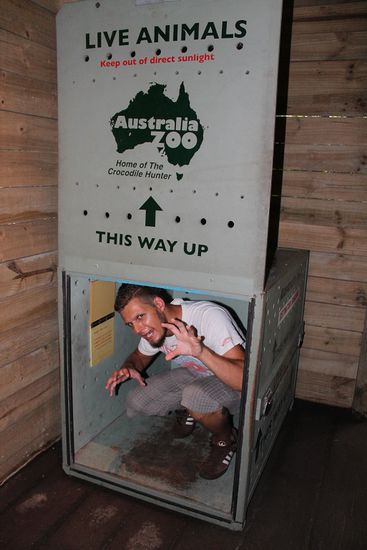 neuester Import aus Down Under