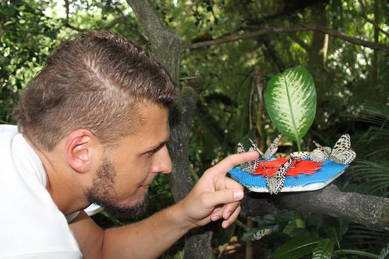 gerade in der "Flight Area" sollte man aber den Boden im Auge behalten...