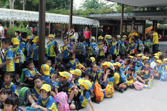 ...und Chinesen. Diese in Europa kaum bekannte Unterart liebt es in engen Kolonien aufeinander zu wohnen.