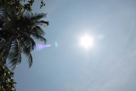 Auf Suse's Geheiss: einmal Blick nach oben...