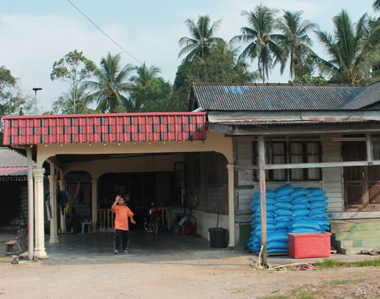 Ein freundlicher Winker...