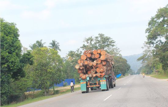 XXL-Tropenholztransporter