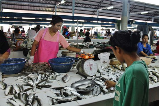 ... Fisch über Fisch und überall nur Fisch ...