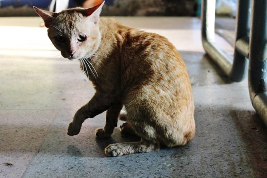 ...  warten auf ein Stückchen "von oben" ...