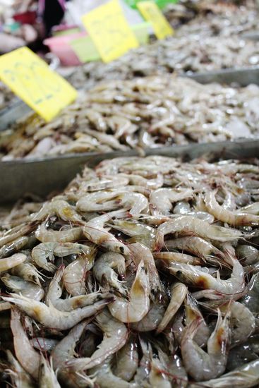 ... wir sehen uns wieder - auf meinem Teller ...