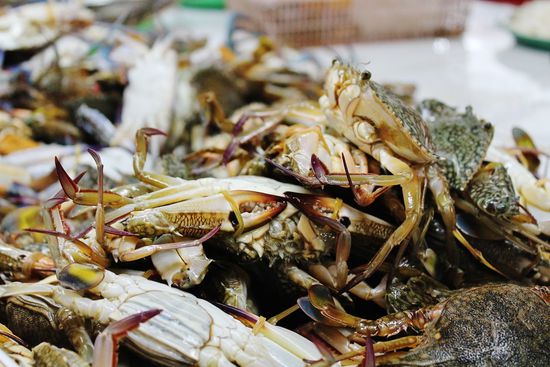 ... Krabbeltisch der etwas anderen Art ...