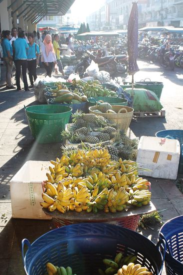 ... draußen wartet derweil anderes Frisches ...