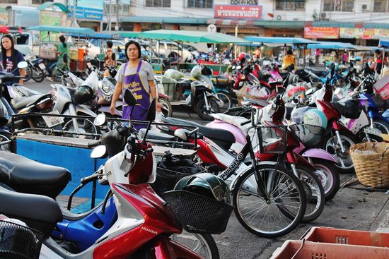 ... und hier eine Herde asiatischer Lastesel ...