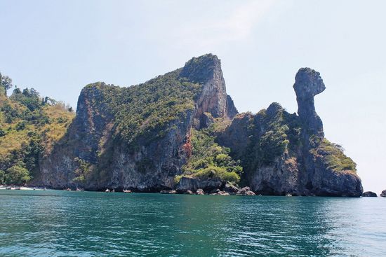 ... Chicken-Island ...