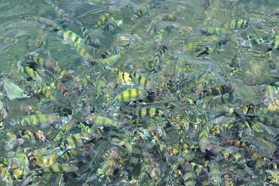 ... jeder will mit aufs Bild ...