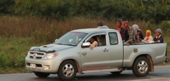 ... in diesem Bild geht es nicht um die volle Laderampe, sondern um die beiden Pudel  ...