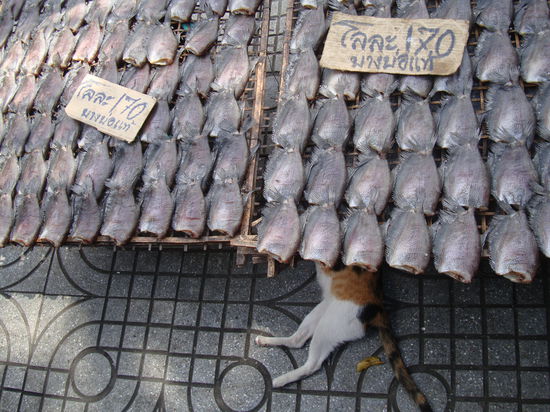 (...man wird doch wohl -