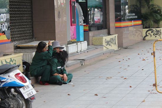 (...ich glaub mich laust der Affe...)