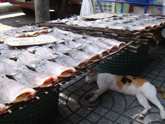 noch träumen dürfen...)