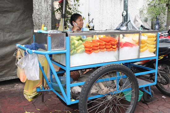 (Bilderrätsel: Wo ist Waldi?)