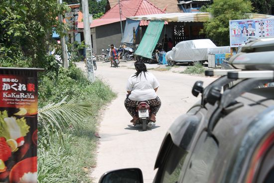 ... auch diesmal genießen wir wieder die üppige Natur ...