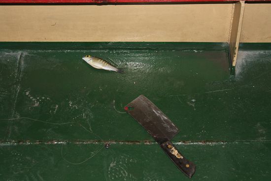 ... Fisch und Fleischerbeil - bon appétit ...