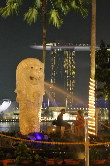 ... der "echte" Merlin - klein und unscheinbar ...