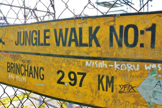 ... von den 2.97 Kilometern sind wir genau 0.01 gelaufen  ...