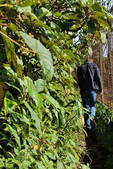 ... und zwar hier, um den Aussichtsturm zu erreichen ...