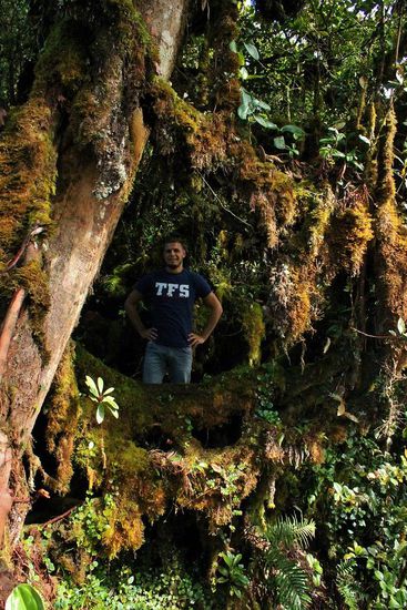 ... ohne Moos nix los ...