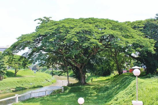 ... romantisches Flüsschen in Ipoh - weniger romantisch waren der Geruch und die Farbe des Wassers ...