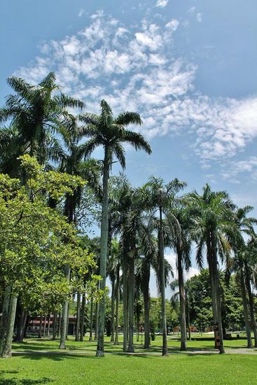 ... im Stadtpark ...