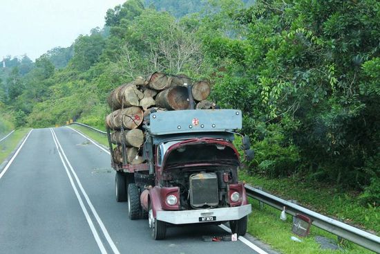 ... Klappe zu, Affe tot? - Hier eher: Klappe auf, Motor tot ...
