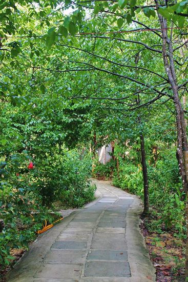 ... bergan Richtung Bungalow ...