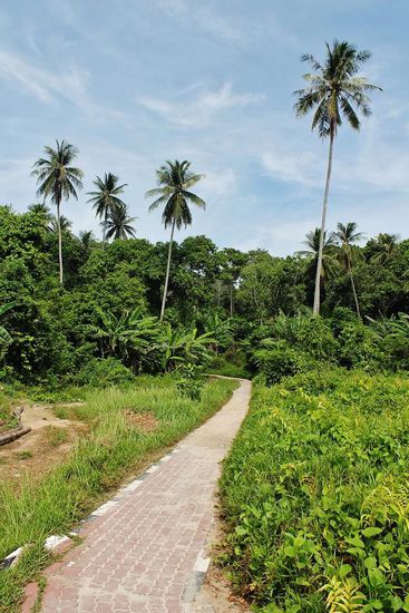 ... dieser Weg verbindet den Long Beach mit der Coral Bay - nachts ist es hier zappenduster, also eine Taschenlampe mitbringen ...