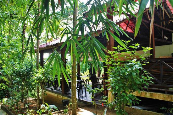 ... die Lodge - Rudolfs Hoheitsgebiet mit weitem Meerblick und sporadischem WiFi ...