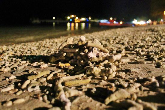 ... die Coral Bay steht zu ihren Namen ...