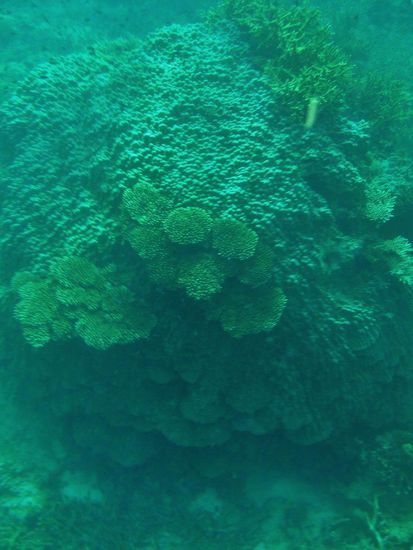 ... ein Konstrukt im Ganzen ...