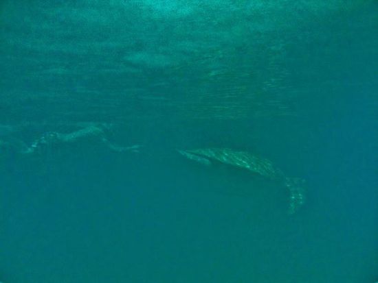 ... von wegen klein ...