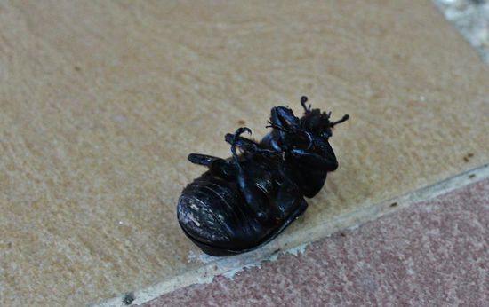 ... ganz allein waren wir dann doch nicht ...