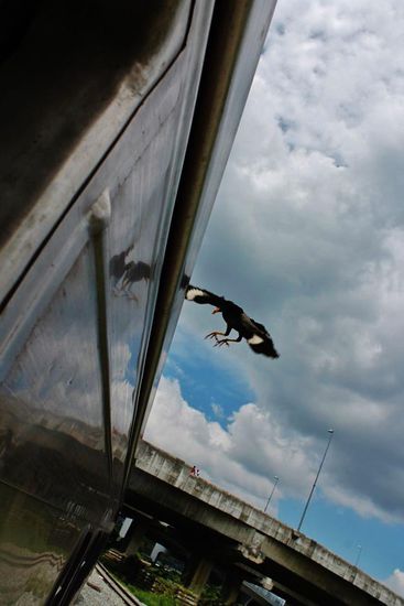 ... unauffällig landen und ...