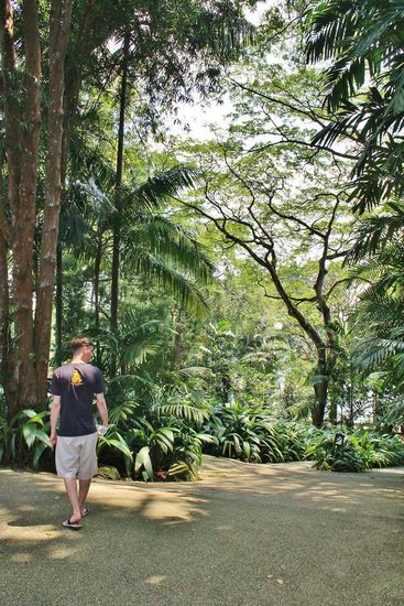 ... links, rechts, oder doch geradeaus? ...