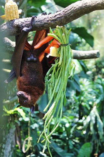 ... verkehrte Welt ...