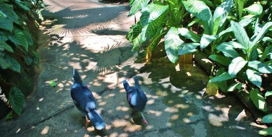 ... Fußgängerzone ...