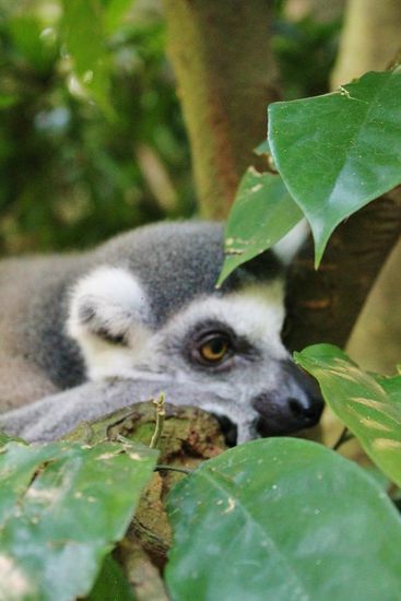 ... und Einsamkeit ...