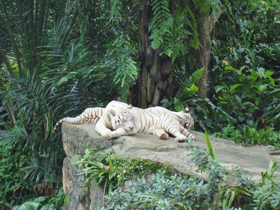 ... Omar und Winnie ...