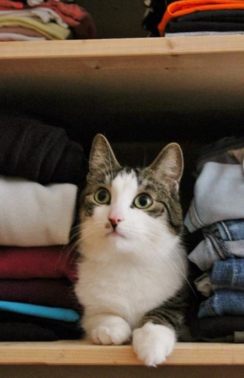 ... im Kleiderschrank lauscht es sich am Besten ...