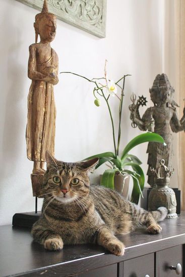 ... "Was? So viele Fische und MIR hast du keinen mitgebracht?" ...