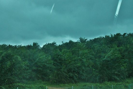 ... sturmgepeitscht  ...