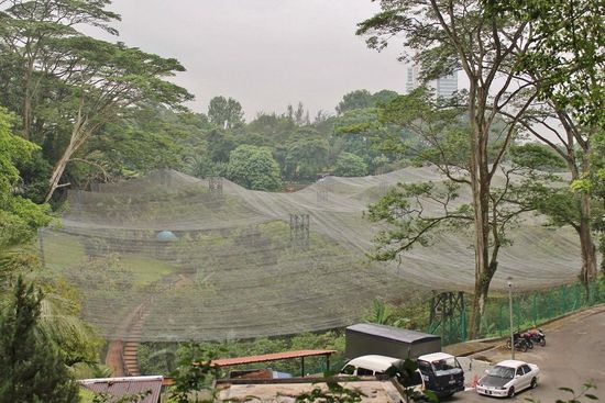 ... der Schmetterlingspark fiel leider ins Wasser, da das Wasser von oben verständlicherweise den Bewohner die Lust am Fliegen nahm ...
