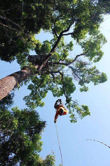 ... Superman goes vertical ...