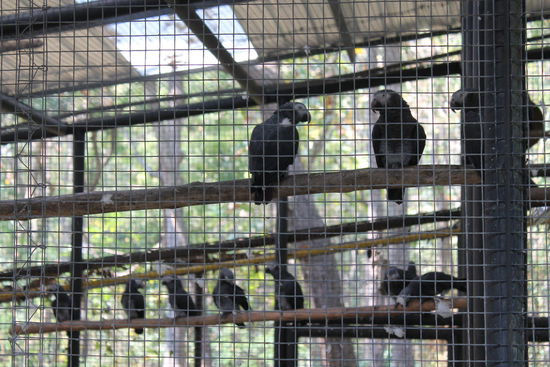 ... haben wir keinen einzigen Vogel entdeckt ...