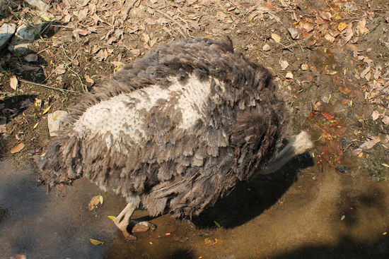 ... stressfrei und ausgeglichen ...